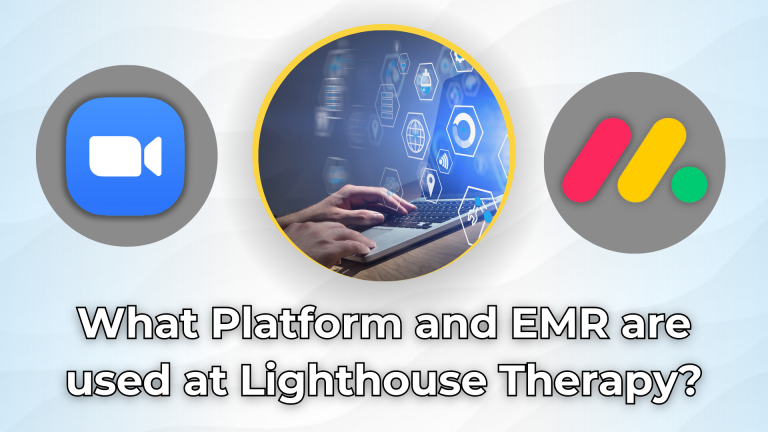 What Platform and EMR are used at Lighthouse Therapy?