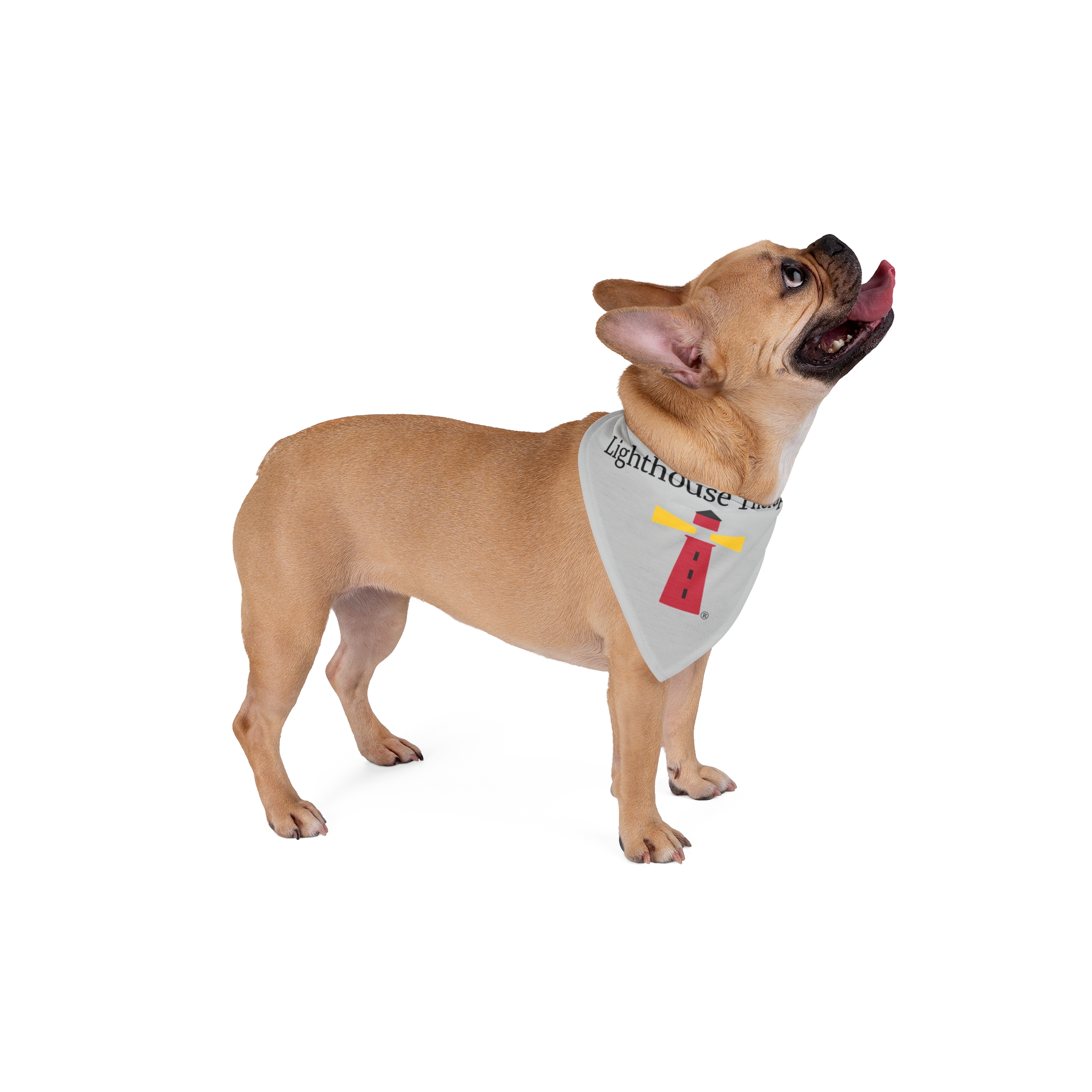 Lighthouse Pet Bandana — Nautical Dog & Cat Accessory - Image 4